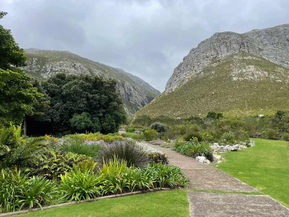 Footprints in Kleinmond Harold Porter National Botanical Garden (Betty's Bay)