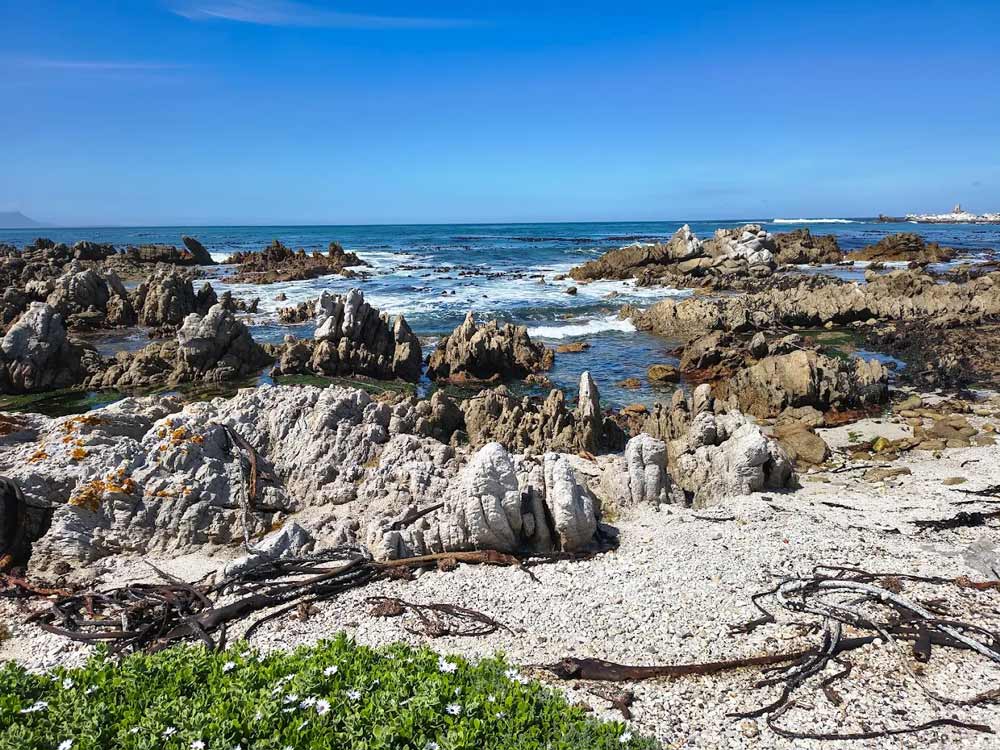 Footprints in Kleinmond Stony Point Penguin Colony (Betty's Bay)
